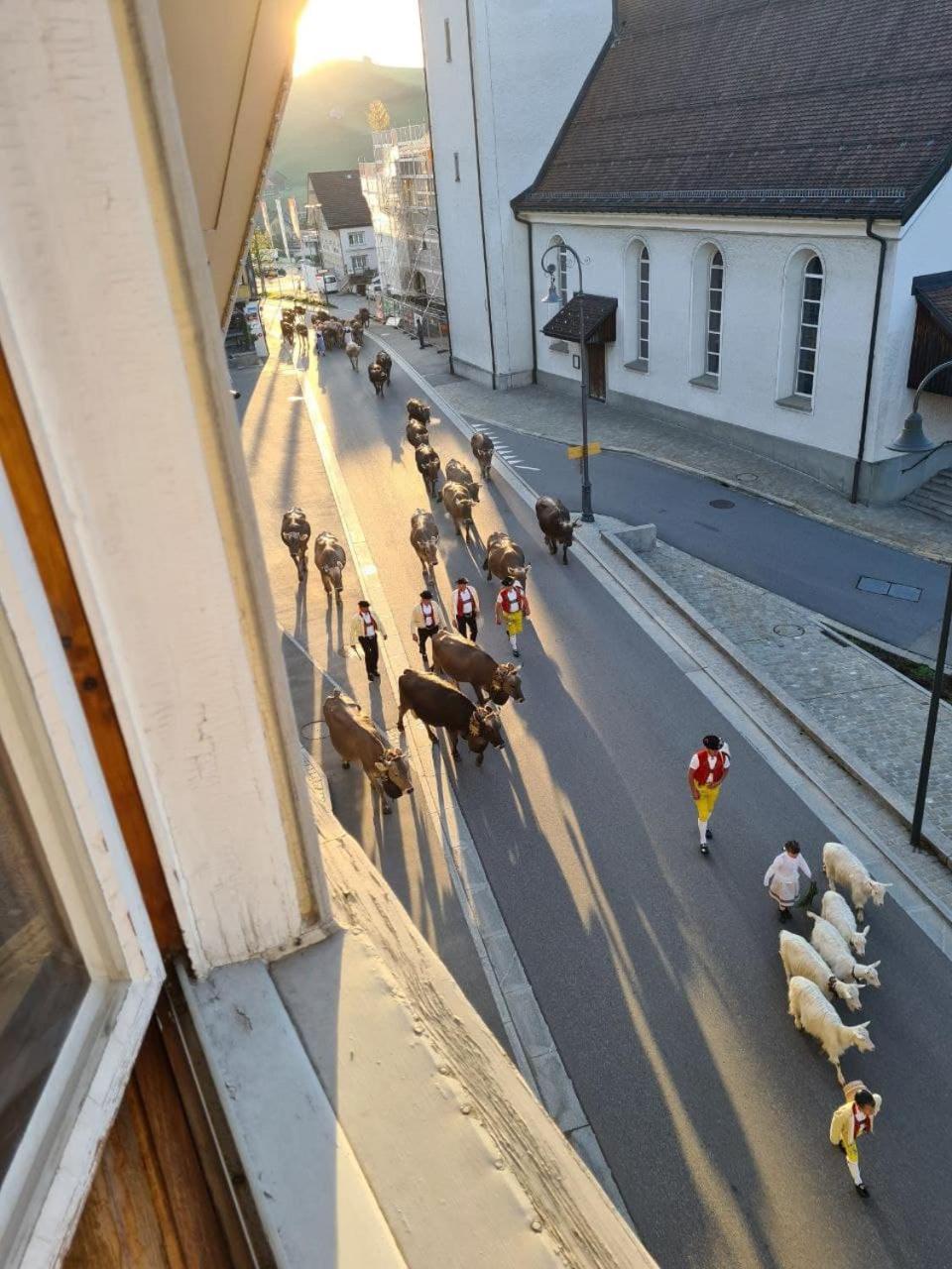 Ferienwohnung Edelweiss Urnäsch Kültér fotó